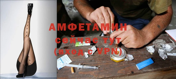 твердый Абаза
