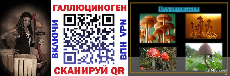 Галлюциногенные грибы Psilocybe  цены наркотик  Фурманов 