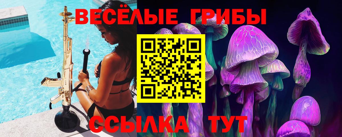 Галлюциногенные грибы Cubensis Фурманов